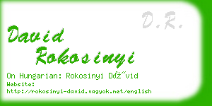 david rokosinyi business card